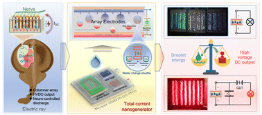 Graphical abstract: A bio-inspired total current nanogenerator