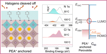 Graphical abstract: Anchoring of halogen-cleaved organic ligands on perovskite surfaces