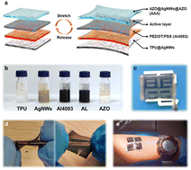 Graphical abstract: Intrinsically stretchable, semi-transparent organic photovoltaics with high efficiency and mechanical robustness via a full-solution process