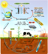 Graphical abstract: Renewable electron-driven bioinorganic nitrogen fixation: a superior route toward green ammonia?