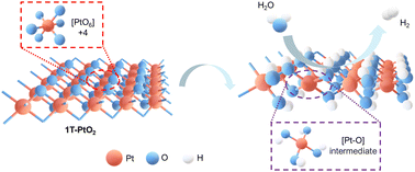 Graphical abstract: Metastable-phase platinum oxide for clarifying the Pt–O active site for the hydrogen evolution reaction