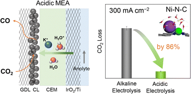 Graphical abstract: Tailoring acidic microenvironments for carbon-efficient CO2 electrolysis over a Ni–N–C catalyst in a membrane electrode assembly electrolyzer