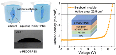 Graphical abstract: Two-in-one alcohol-processed PEDOT electrodes produced by solvent exchange for organic solar cells