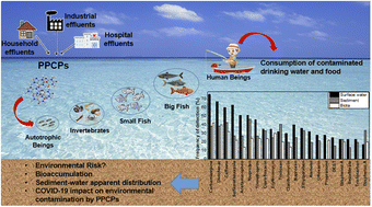 Graphical abstract: Updated knowledge, partitioning and ecological risk of pharmaceuticals and personal care products in global aquatic environments
