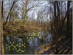 Graphical abstract: Distribution of legacy and emerging per- and polyfluoroalkyl substances in riverine and coastal sediments of Southeastern North Carolina, USA