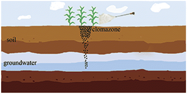 Graphical abstract: Characterization of the clomazone sorption process in four agricultural soils using different kinetic models