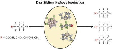 Graphical abstract: Atomistic insights into the hydrodefluorination of PFAS using silylium catalysts