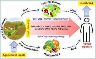 Graphical abstract: Chemicals/materials of emerging concern in farmlands: sources, crop uptake and potential human health risks