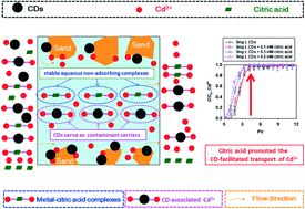 Graphical abstract: Insights into the effect of citric acid on the carbon dot-mediated transport of Cd2+ through saturated porous media