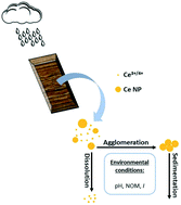 Graphical abstract: Stability of CeO2 nanoparticles from paints and stains: insights under controlled and environmental scenarios