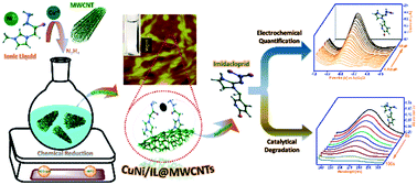 Graphical abstract: Detection and detoxification of imidacloprid in food samples through ionic liquid-stabilized CuNi alloy nanoparticle-decorated multiwall carbon nanotubes
