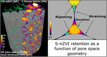 Graphical abstract: Retention of sulfidated nZVI (S-nZVI) in porous media visualized by X-ray μ-CT – the relevance of pore space geometry