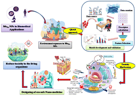 Graphical abstract: Risk assessment and data gap filling of toxicity of metal oxide nanoparticles (MeOx NPs) used in nanomedicines: a mechanistic QSAR approach