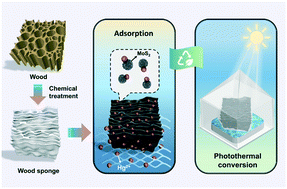 Graphical abstract: An upcycled wood sponge adsorbent for drinking water purification by solar steam generation