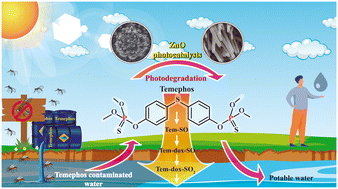 Graphical abstract: Tracing the degradation pathway of temephos pesticide achieved with photocatalytic ZnO nanostructured films