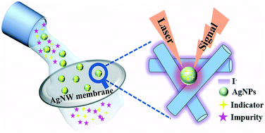 Graphical abstract: Screening of silver nanoparticles in antibacterial products by leveraging a silver nanowire membrane as a filter and amplifier