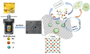 Graphical abstract: A porous graphitic biochar wrapped Co9S8 core–shell composite enables pH-universal activation of peroxymonosulfate for highly efficient and rapid antibiotics degradation