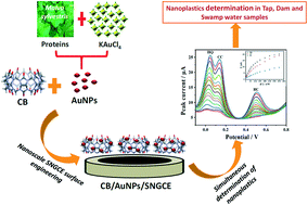 Graphical abstract: Development of a cost-effective and sustainable nanoplatform based on a green gold sononanoparticles/carbon black nanocomposite for high-performance simultaneous determination of nanoplastics