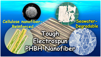 Graphical abstract: Seawater-degradable, tough, and fully bio-derived nonwoven polyester fibres reinforced with mechanically defibrated cellulose nanofibres