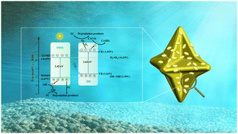Graphical abstract: Simultaneously enhanced photocatalytic cleanup of Cr(vi) and tetracycline via a ZnIn2S4 nanoflake-decorated 24-faceted concave MIL-88B(Fe) polyhedron S-scheme system