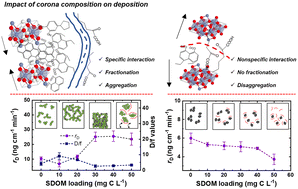 Graphical abstract: Dissolved organic matter regulates aggregation and deposition of chromium (hydr)oxide colloids: molecular-scale investigation using ESI-FT-ICR-MS