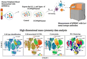 Graphical abstract: A single-cell based mass cytometry study on heterogeneous interactions between upconversion nanoparticles and human immune cells