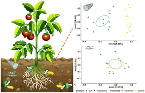 Graphical abstract: Emerging investigator series: differential effects of carbon nanotubes and graphene on the tomato rhizosphere microbiome