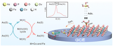 Graphical abstract: Increasing reductive Fe(ii)/Co(ii) sites on P-doped FeCo2O4−x nanosheets to accelerate the valence cycle for the electroanalysis of As(iii)