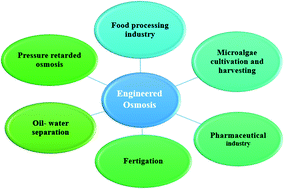 Graphical abstract: Engineered osmosis – sustainable technology for water recovery, product concentration and energy generation
