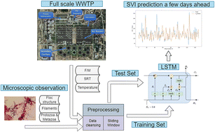 Graphical abstract: Prediction of a full scale WWTP activated sludge SVI test using an LSTM neural network