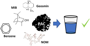 Graphical abstract: Selecting a single powdered activated carbon against multiple threats: taste & odour and benzene