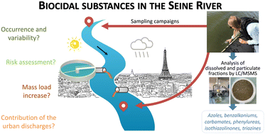 Graphical abstract: Biocidal substances in the Seine River: contribution from urban sources in the Paris megacity