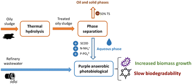 Graphical abstract: Thermal hydrolysis of solid fraction reduces waste disposal and provides a substrate for anaerobic photobiological treatment of refinery wastewater