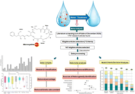 Graphical abstract: A quantitative analysis of drinking water treatments for the removal of dissolved microcystins