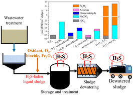 Graphical abstract: Development of cost-effective and long-lasting integrated technology for H2S control from sludge in wastewater treatment plants