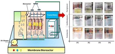 Graphical abstract: Antibiotic removal by metal–organic framework and 2D nanomaterial based polyetherimide mixed matrix membranes using a membrane bioreactor