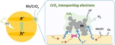 Graphical abstract: An unexplored role of the CrOx shell in an elaborated Rh/CrOx core–shell cocatalyst for photocatalytic water splitting: a selective electron transport pathway from semiconductors to core metals, boosting charge separation and H2 evolution