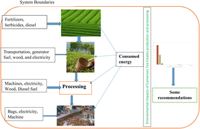 Graphical abstract: Analysis of environmental sustainability of Cameroon tea production: an LCA study