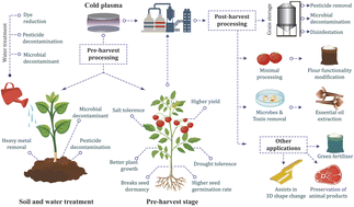 Graphical abstract: Plasma processing: a sustainable technology in agri-food processing