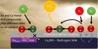 Graphical abstract: Ionic conductivity and disorder in calcium and barium nitrogen hydrogen phases