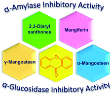 Graphical abstract: Inhibition of the carbohydrate-hydrolyzing enzymes α-amylase and α-glucosidase by hydroxylated xanthones