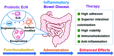 Graphical abstract: Probiotic Escherichia coli NISSLE 1917 for inflammatory bowel disease applications