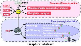 Graphical abstract: Structural characterization of Poria cocos oligosaccharides and their effects on the hepatic metabolome in high-fat diet-fed mice