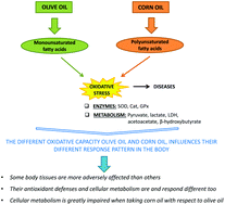 Graphical abstract: A comparative study between olive oil and corn oil on oxidative metabolism