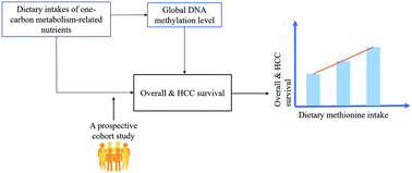 Graphical abstract: Dietary intake of one-carbon metabolism-related nutrients and hepatocellular carcinoma survival in the Guangdong Liver Cancer Cohort