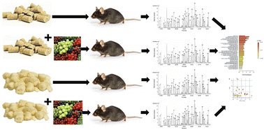 Graphical abstract: Addition of grapes to both a standard and a high-fat Western pattern diet modifies hepatic and urinary metabolite profiles in the mouse