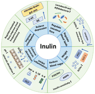 Graphical abstract: Inulin: properties and health benefits