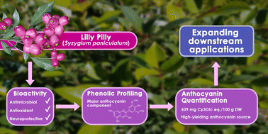 Graphical abstract: Polyphenol characterisation and diverse bioactivities of native Australian lilly pilly (Syzygium paniculatum) extract