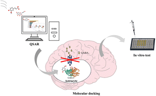 Graphical abstract: Structure-guided discovery of food-derived GABA-T inhibitors as hunters for anti-anxiety compounds
