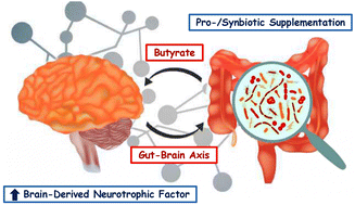 Graphical abstract: The effect of pro-/synbiotic supplementation on the brain-derived neurotrophic factor: a systematic review and meta-analysis of randomized controlled trials